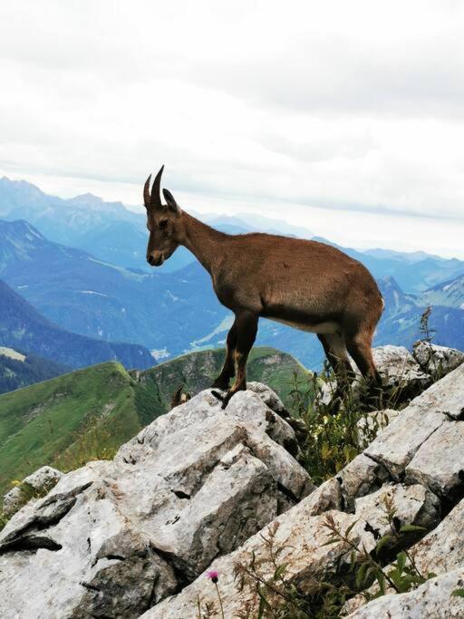 Appartement Vue Sur Le Golf Et Le Lac Leman Publier Exteriör bild